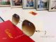 Replica Premiere Cartier Sunglasses ct06290 Gold Frame Black Leg (7)_th.jpg